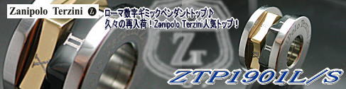 Zanipolo Terzini【ザニポロタルツィーニ】ステンレスペンダントトップZTP1901/L 