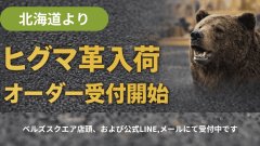巨大なヒグマ革入荷！