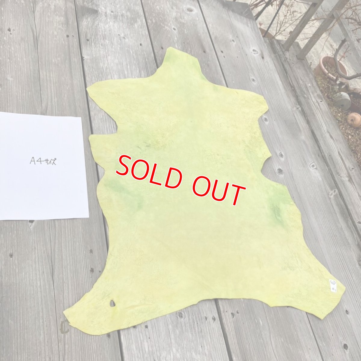 画像2: 広島ジビエレザー鹿革ハードタイプ43デシ　ピスタチオカラー　厚み1mm (2)