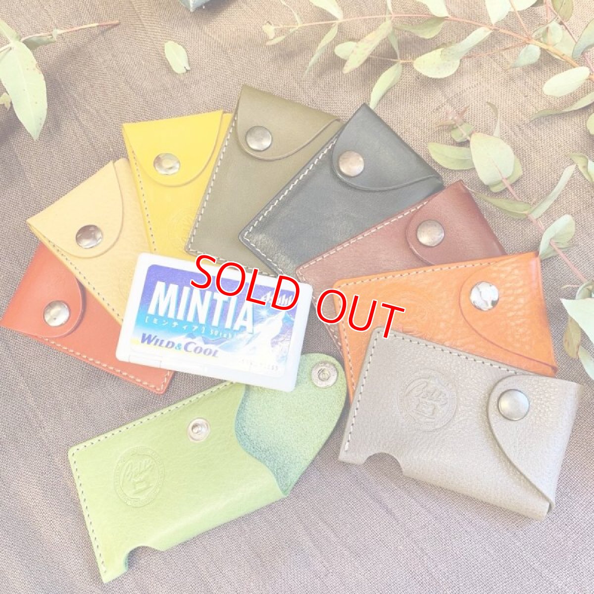 画像1: シュリンクレザーミンティアケース　テレビ新広島ひろしま満点ママ!!で紹介！ (1)