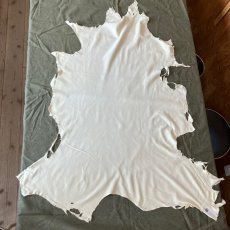 画像1: 元祖セーム革　1枚売り　液晶画面やメガネ、カメラレンズなどのクリーニングなど使い方はいろいろ！ (1)