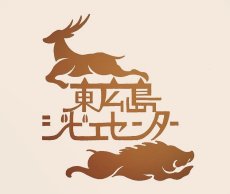 画像4: カレーやカツに！東広島ジビエセンター栄肉　鹿肉モモ　ブロック　約300g (4)