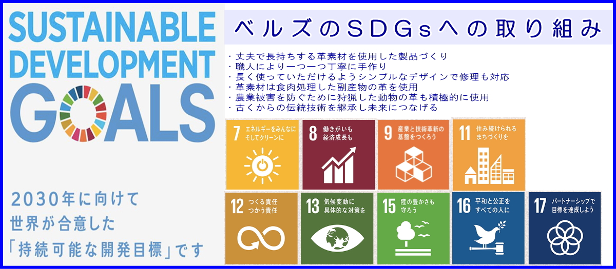 SDGs