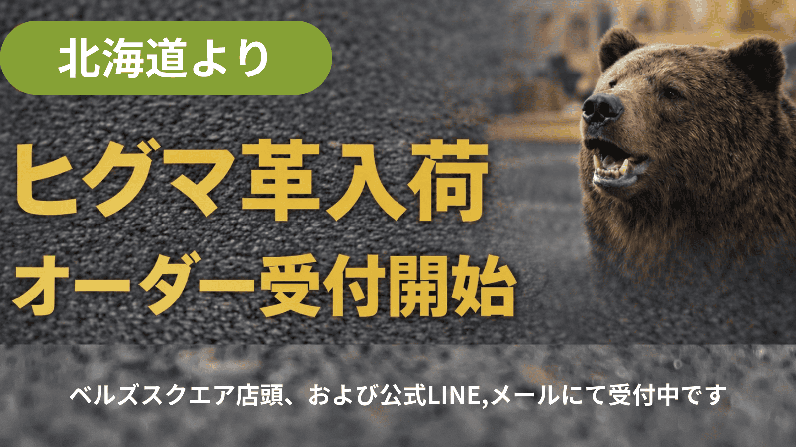 ヒグマ革（北海道産）