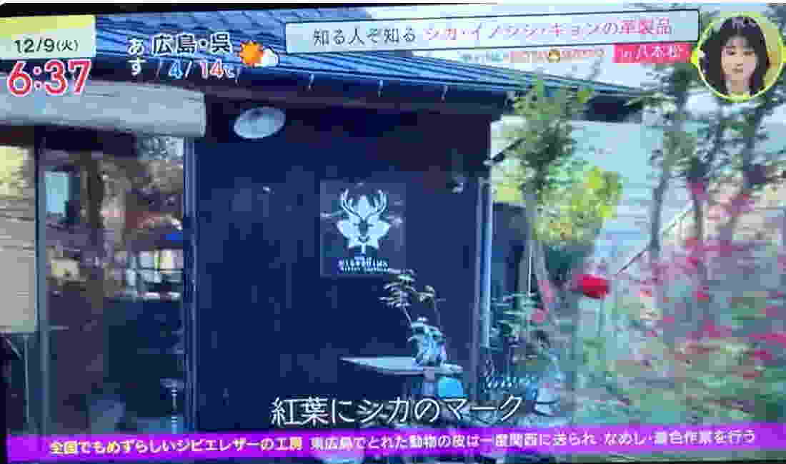 RCCテレビ イマナマ！紹介画像